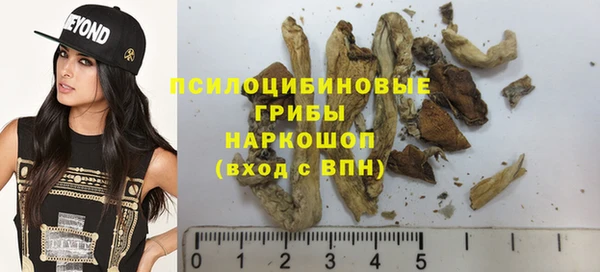 мескалин Богородицк