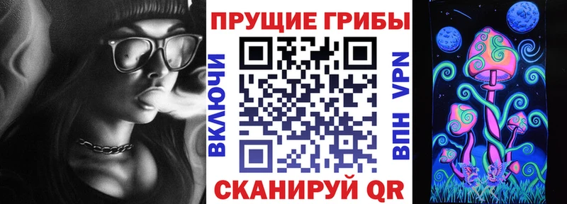 Галлюциногенные грибы ЛСД  Купить где  Жуков 
