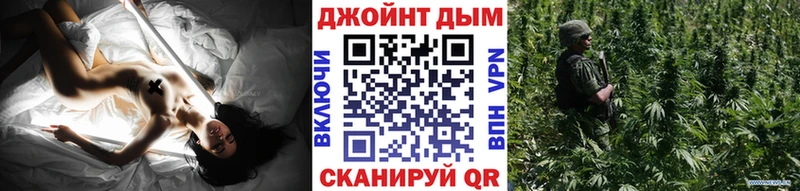 Купить закладки  Жуков  Конопля ГИДРОПОН 